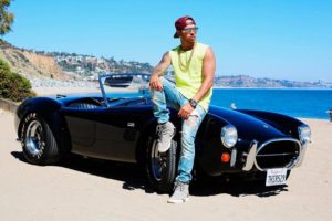 shelby cobra hamilton