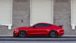 Shelby Signature Edition 6