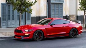 Shelby Signature Edition 4