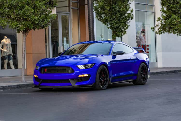 Shelby Signature Edition 3