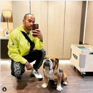 Lewis Hamilton podría ir a la cárcel