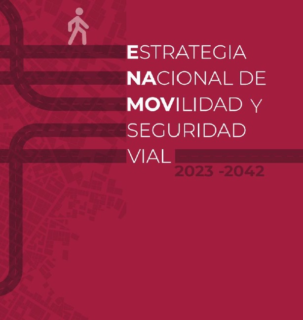 ONG´s vigilan la implementación de la ENAMOV