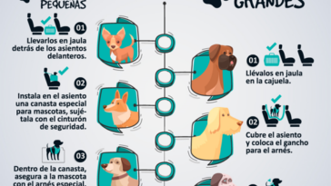 Tips para viajar con nuestra mascota de forma segura