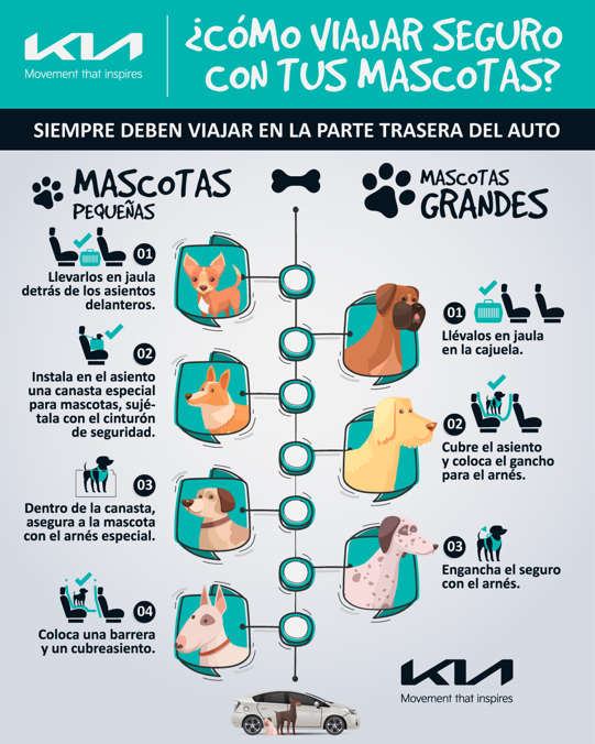 Tips para viajar con nuestra mascota de forma segura