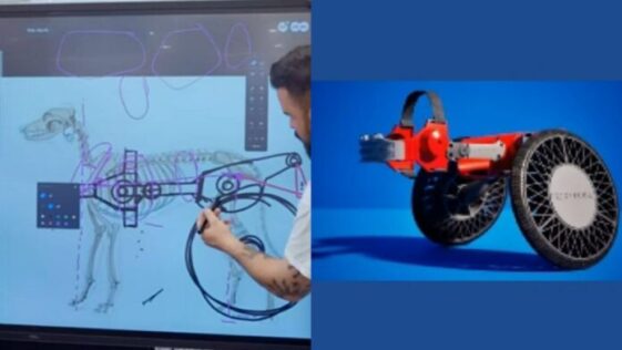 Ford presenta silla de ruedas para perritos con discapacidad