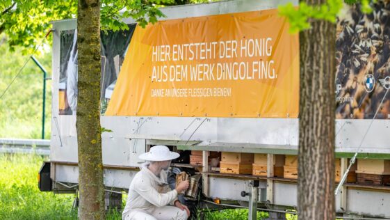 BMW realiza acciones para la conservación de la biodiversidad