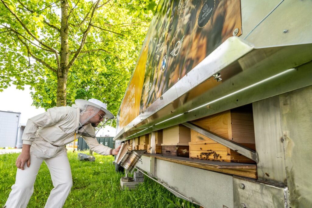 BMW realiza acciones para la conservación de la biodiversidad